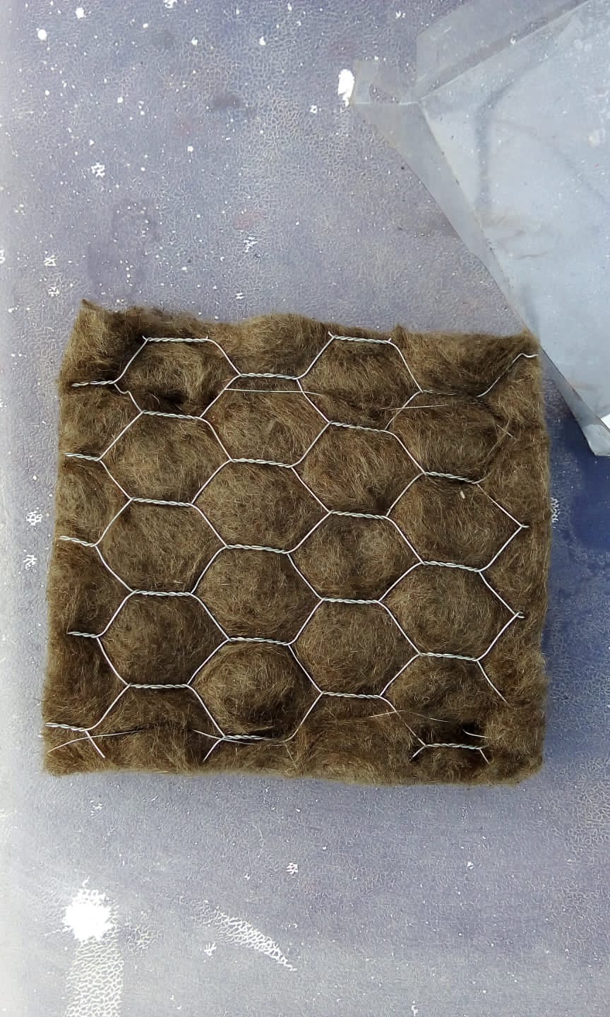 WhatsApp Image 2025-09-04 at 1.58.57 AM